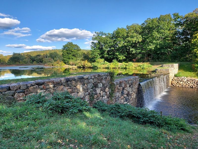 Ringwood State Park Feels Like New Jersey’s Secret Fairytale Escape
