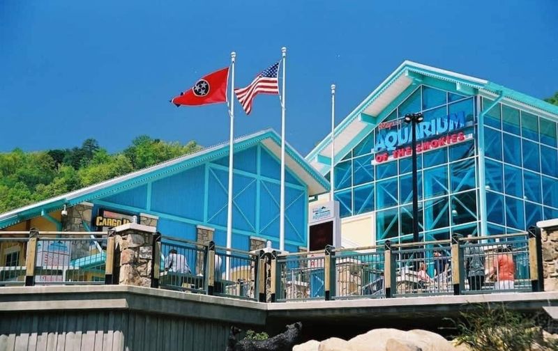 Ripley's Aquarium of the Smokies — Gatlinburg