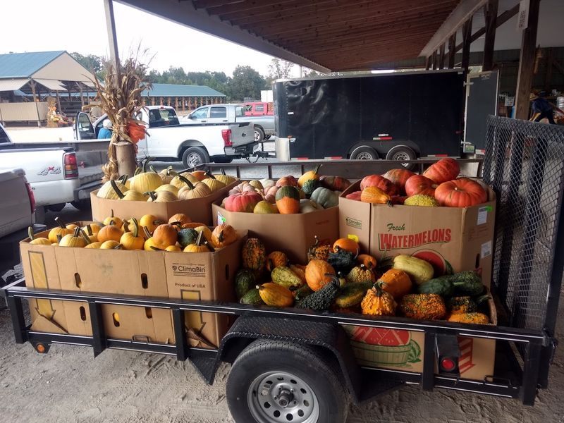 Roadside Produce Stands Bursting with Fresh Vegetables