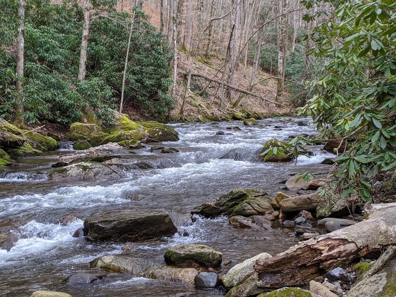 Roan Mountain State Park — Roan Mountain Roan Mountain State Park — Roan Mountain