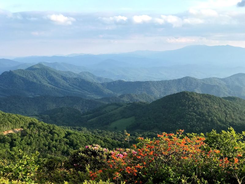 Roan Mountain State Park — Roan Mountain