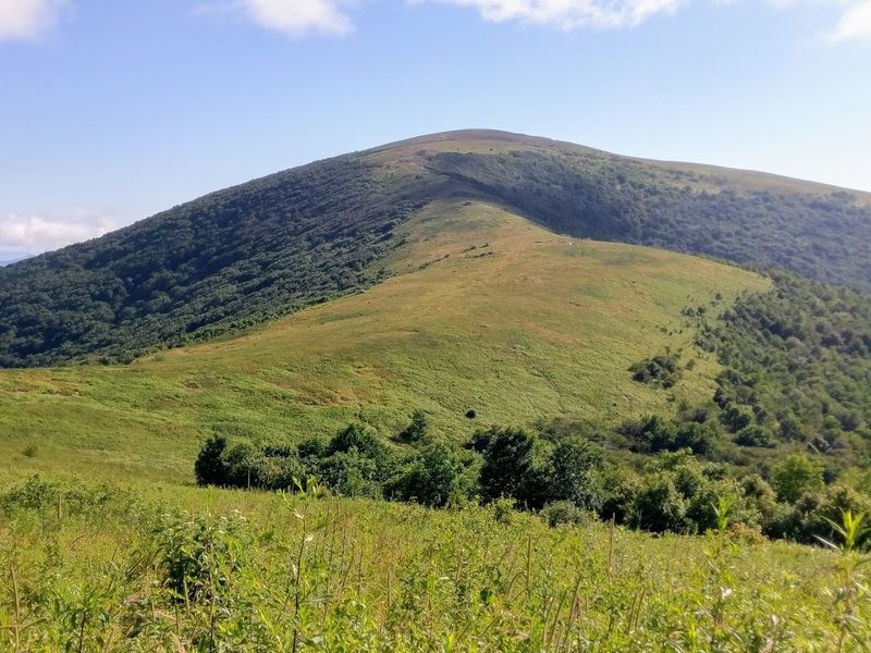 Roan Mountain Roan Mountain