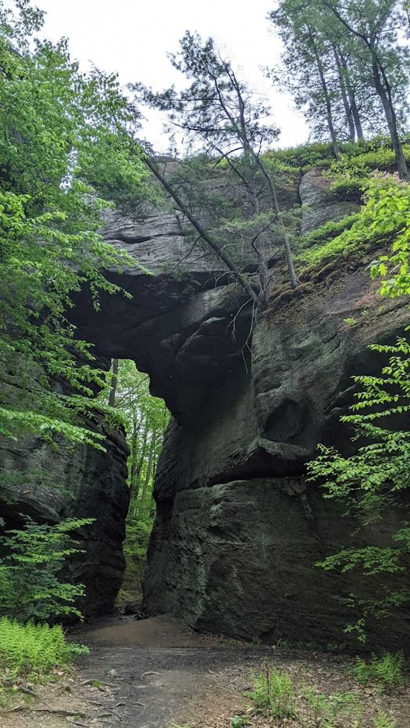 Rock City Park (Olean) Rock City Park (Olean)