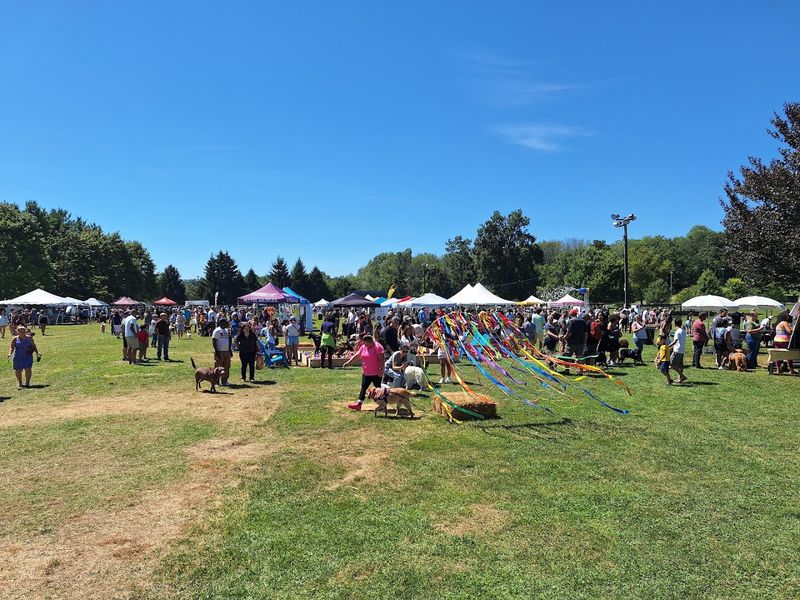 Rock, Ribs & Ridges Festival Rock, Ribs & Ridges Festival
