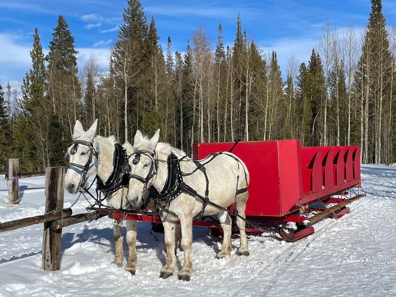 Rocky Mountain Stables – Granby / Winter Park Area