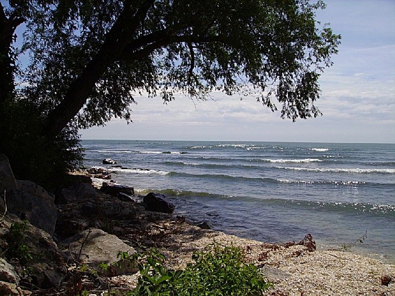 Rocky Shores and State Park Views