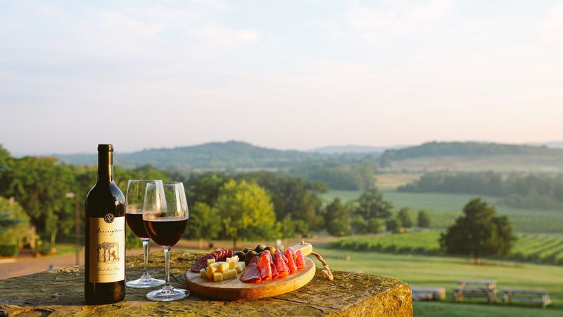 Rolling Vineyards, Scenic Views, and Southern Charm