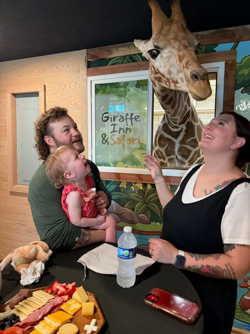 Rooftop Dining with Giraffes as Your Dinner Guests Rooftop Dining with Giraffes as Your Dinner Guests