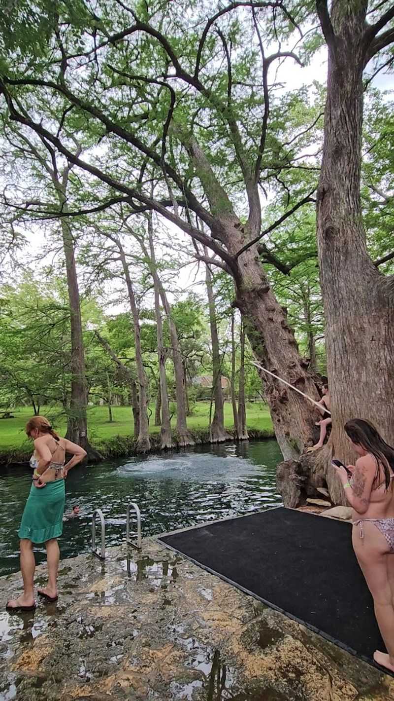 Rope Swings That Bring Out Your Inner Kid
