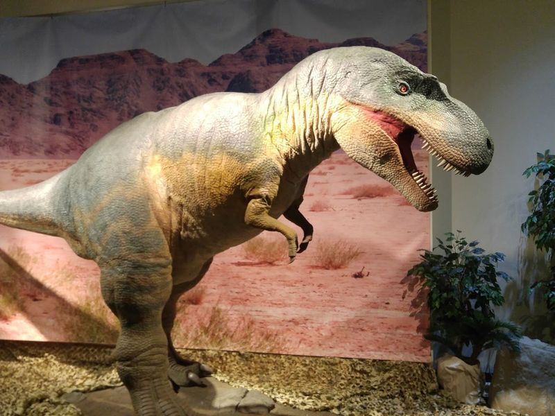 Rotating Special Exhibits That Give You A Reason To Return