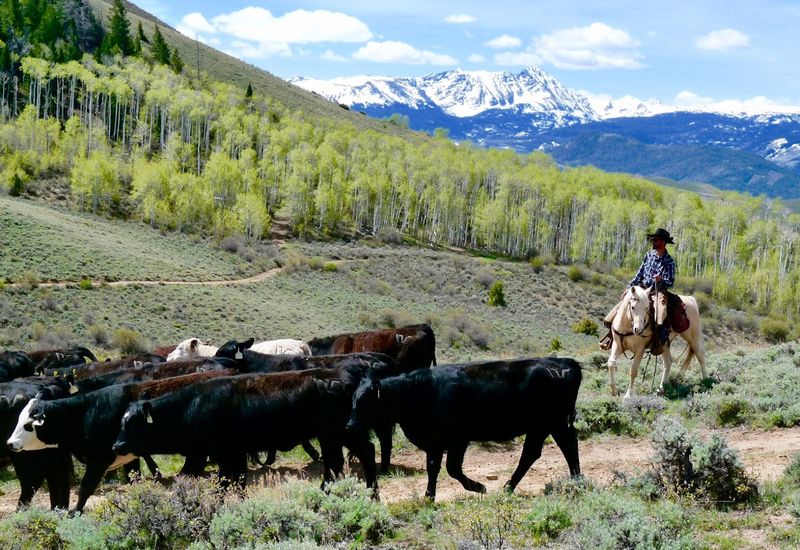 Rusty Spurr Ranch – Kremmling