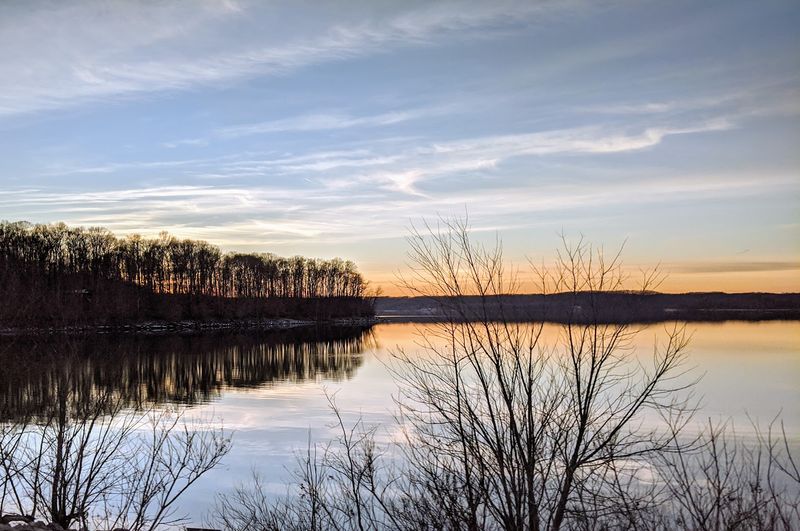 Why This Forest Stands Out in a State Full of Low Expectations