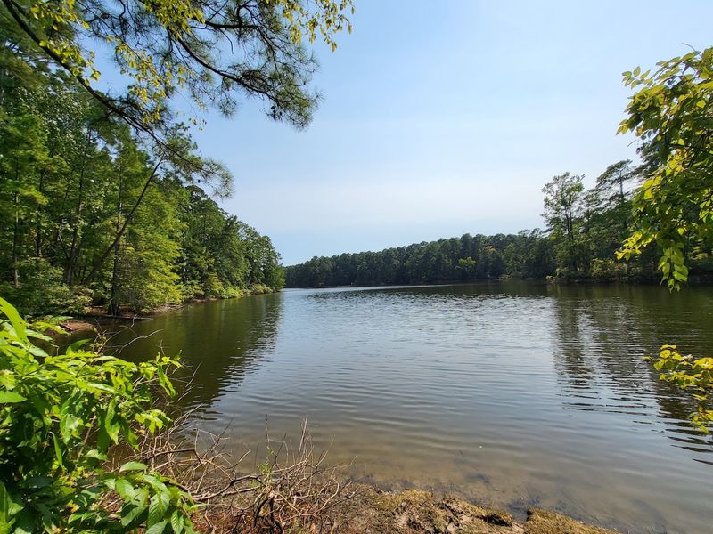 Sabine National Forest (Hemphill)