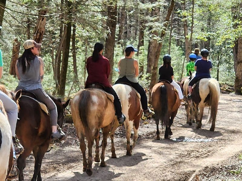 Saddle Up for One of Tennessee's Most Scenic Horseback Riding Adventures Saddle Up for One of Tennessee's Most Scenic Horseback Riding Adventures