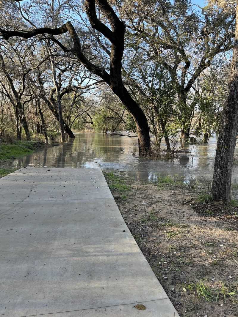 Salado Salado