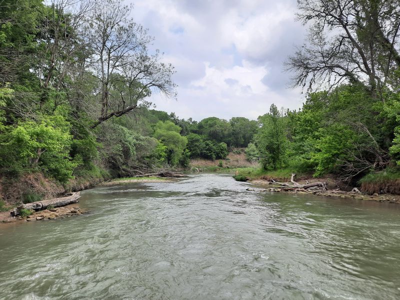 San Marcos River: Paddle, Wade, Or Just Listen