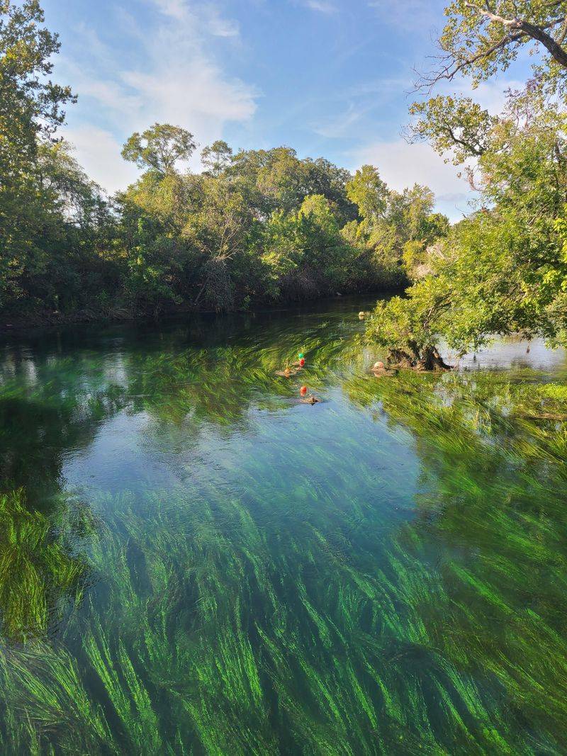San Marcos River (San Marcos) San Marcos River (San Marcos)