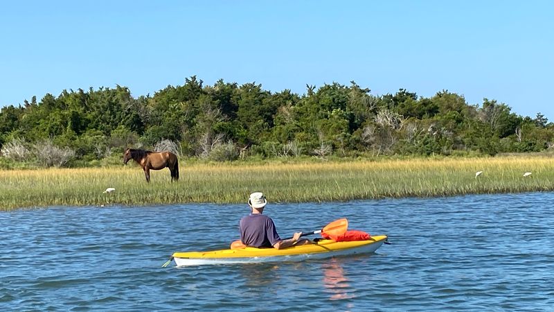 Sand Dollar Island (Beaufort)