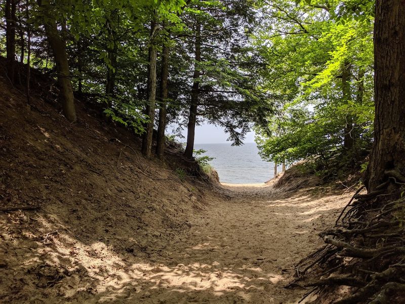 Saugatuck Dunes State Park Saugatuck Dunes State Park