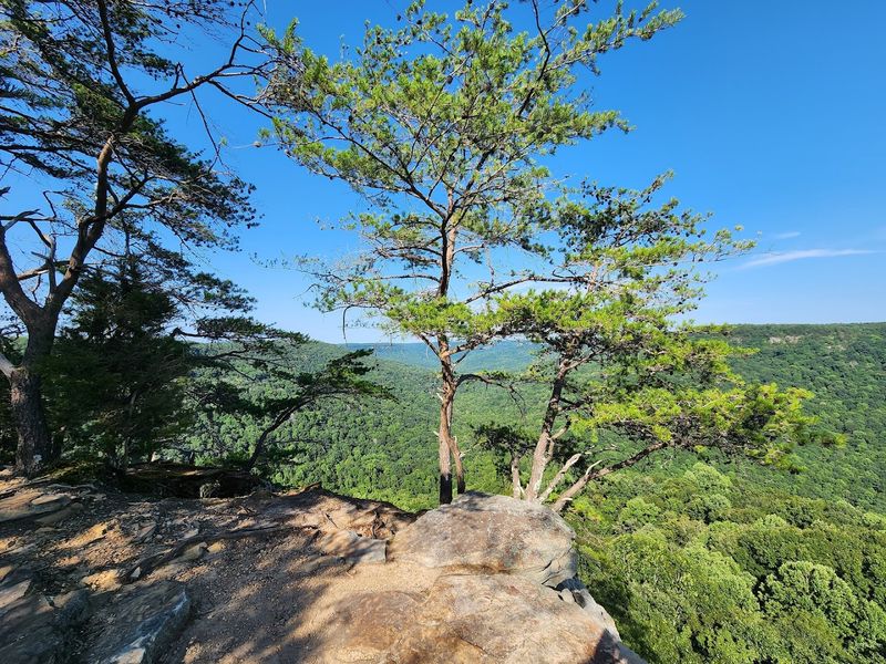 Savage Gulf Campground – Beersheba Springs Savage Gulf Campground – Beersheba Springs