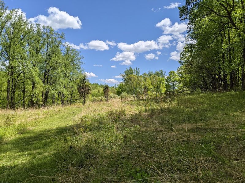 Scherman Hoffman Wildlife Sanctuary Trails — Bernardsville