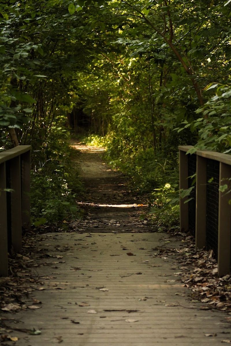Sculptures And Labyrinths Make The Woods Feel A Little Magical