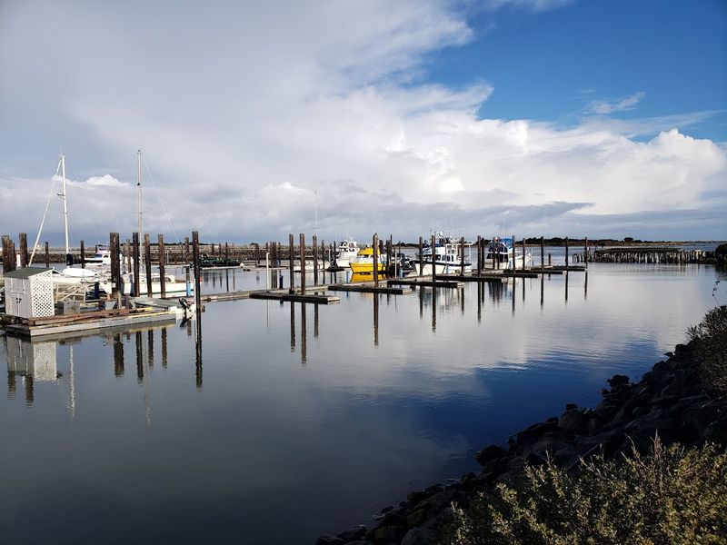 Seafood with Coquille River Views