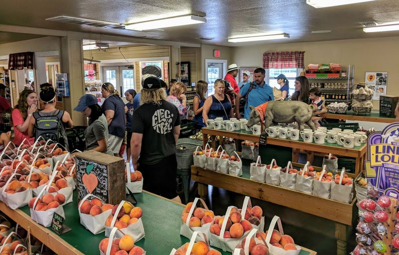 Seasonal Operation and Best Times to Visit