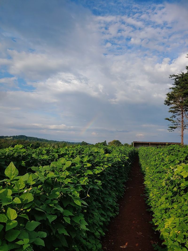 Seasonal Produce Beyond Just Strawberries