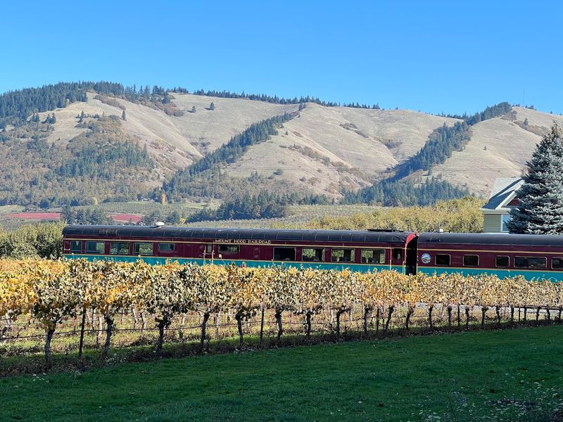 Seasonal rides keep the experience fresh Seasonal rides keep the experience fresh