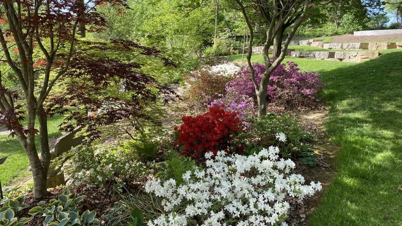 Secrest Arboretum, Wooster