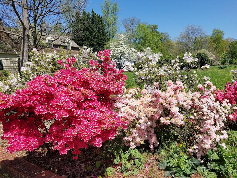 Sequoyah Hills Neighborhood
