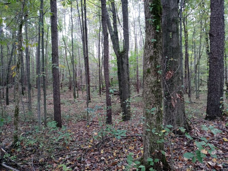 Seven Gables Road — Dansville