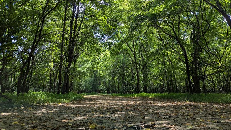Shelby Bottoms - Forrest Green Trailhead — Nashville Shelby Bottoms - Forrest Green Trailhead — Nashville