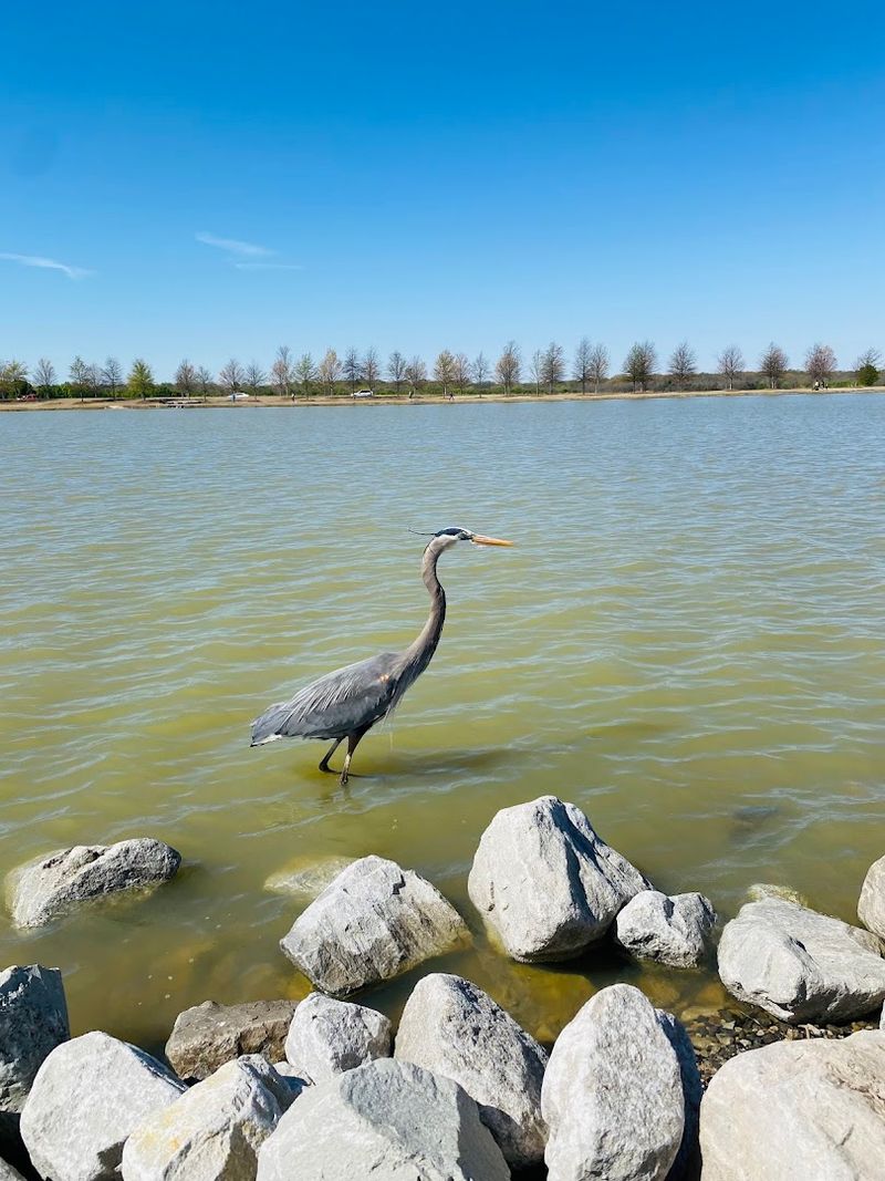 Shelby Farms Park — Memphis Shelby Farms Park — Memphis