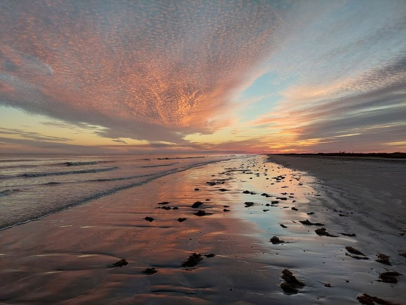 Shell Collecting and Beachcombing
