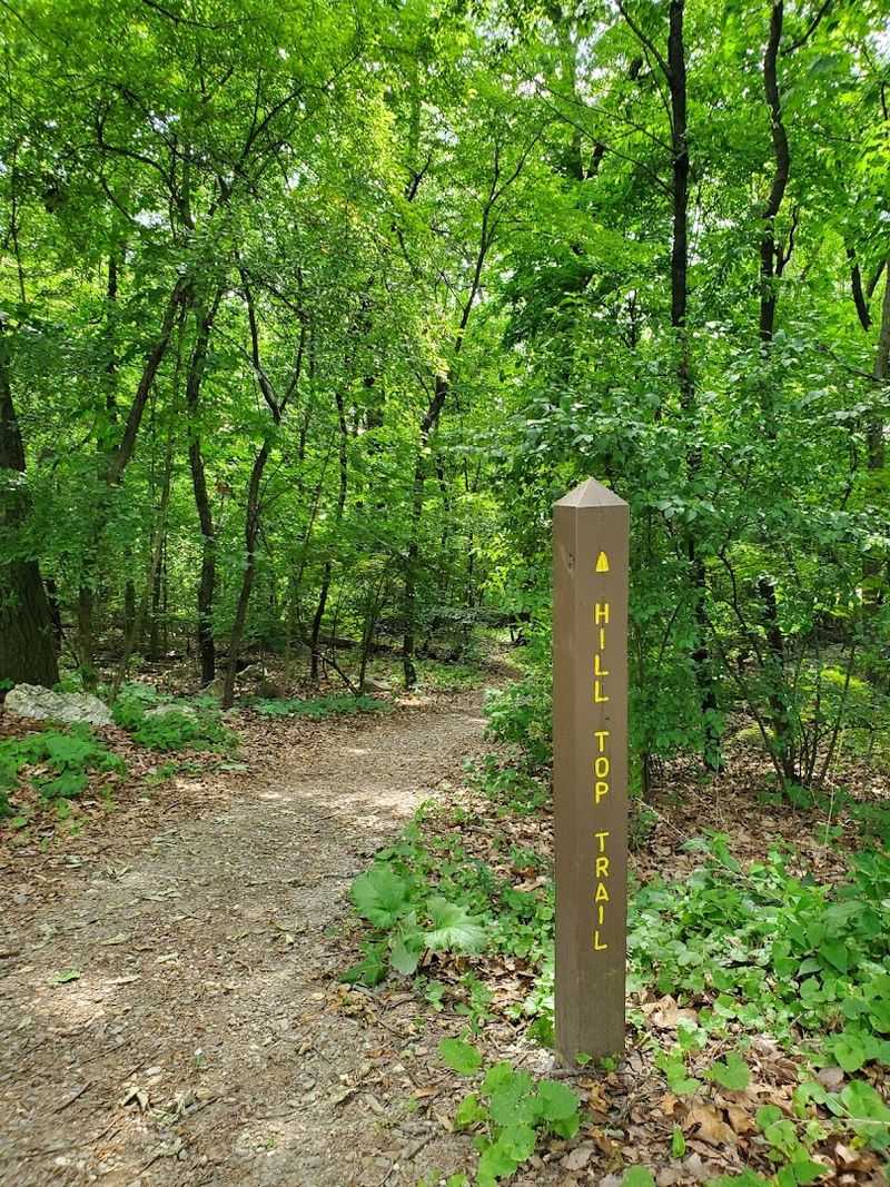 Short Trails with Just Enough Discovery