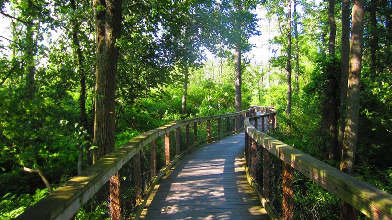 Simple trails, overlooks, and drives make it easy to explore
