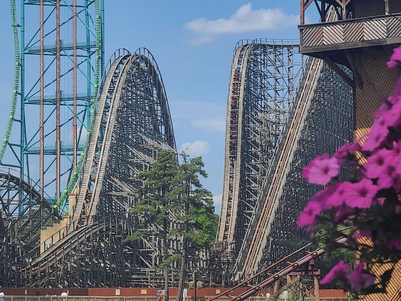 Six Flags Great Adventure & Wild Safari, Jackson