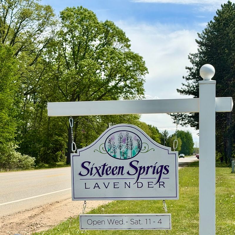 Sixteen Sprigs Lavender Farm Sixteen Sprigs Lavender Farm