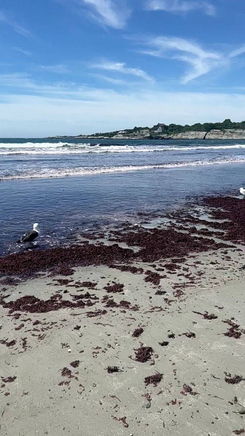 Smart Tips for a Better Aquidneck Island Getaway Smart Tips for a Better Aquidneck Island Getaway