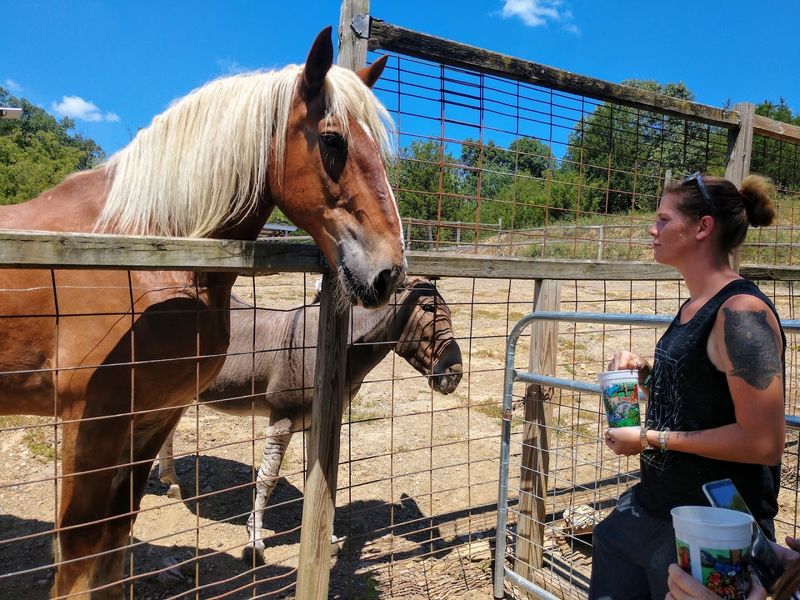 Smoky Mountain Deer Farm & Exotic Petting Zoo — Sevierville Smoky Mountain Deer Farm & Exotic Petting Zoo — Sevierville