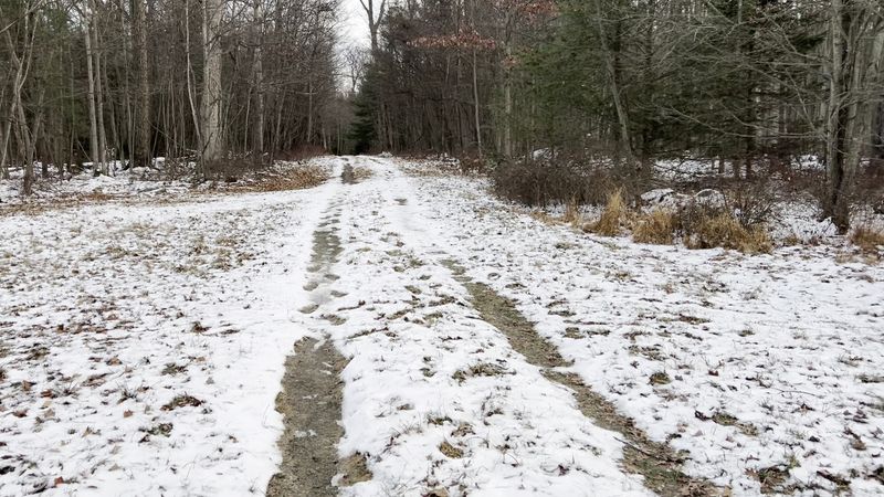 Solitude, Timing, and How to Enjoy It Best Solitude, Timing, and How to Enjoy It Best