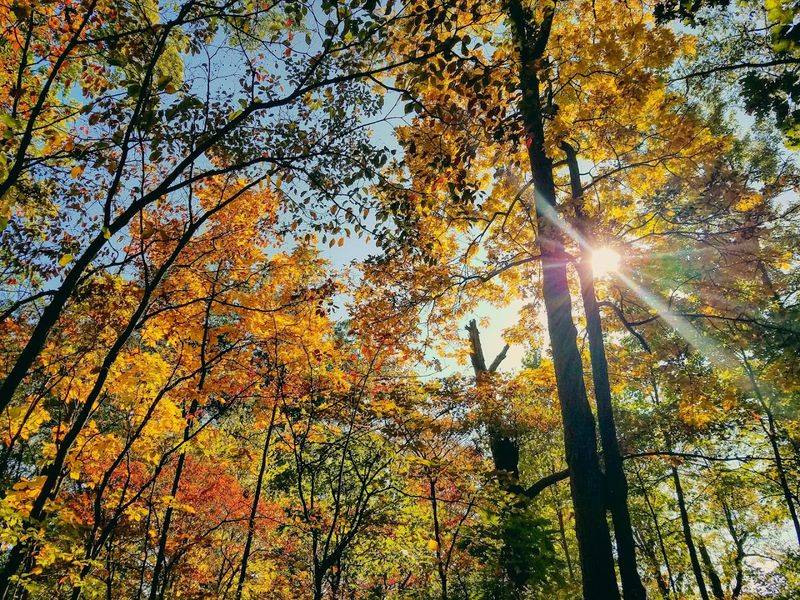 Southwest Michigan's Best-Kept Free Outdoor Secret