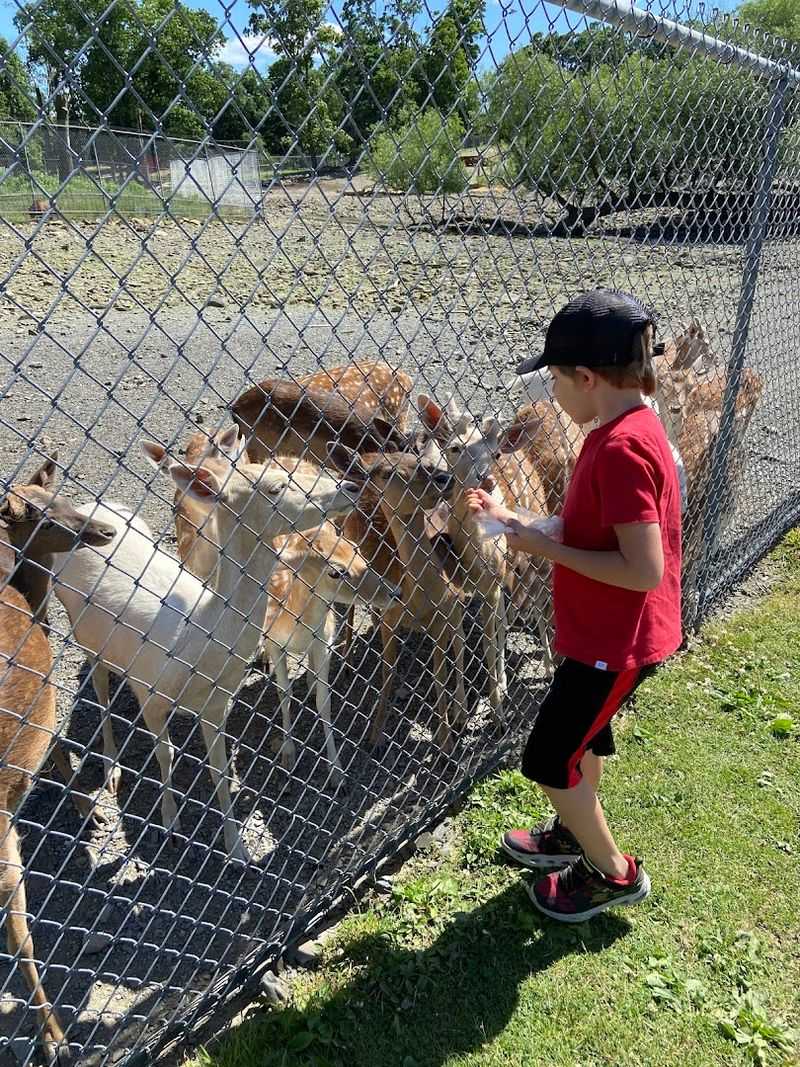Space Farms Zoo & Museum