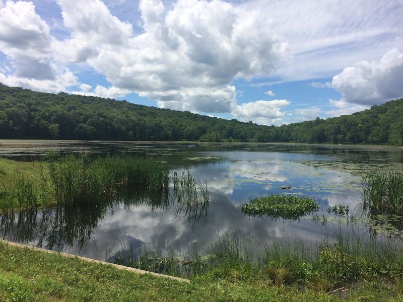 Sparta Mountain and Paulinskill Trails Give Visitors Room to Wander