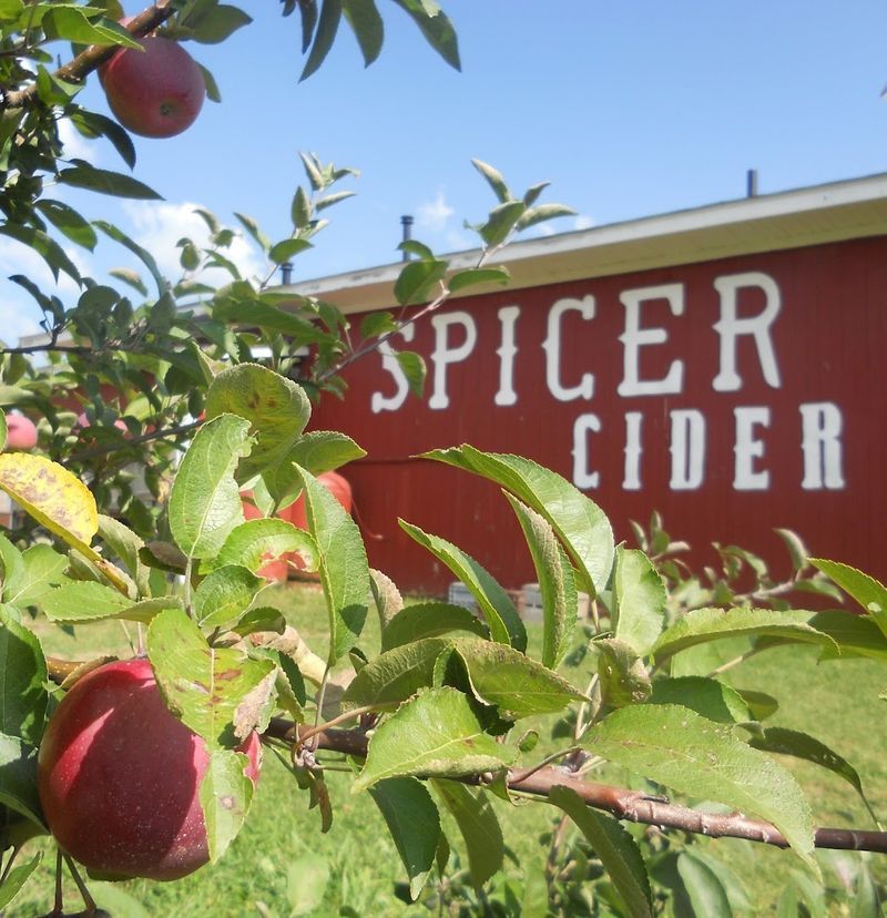 Spicer Orchards Spicer Orchards