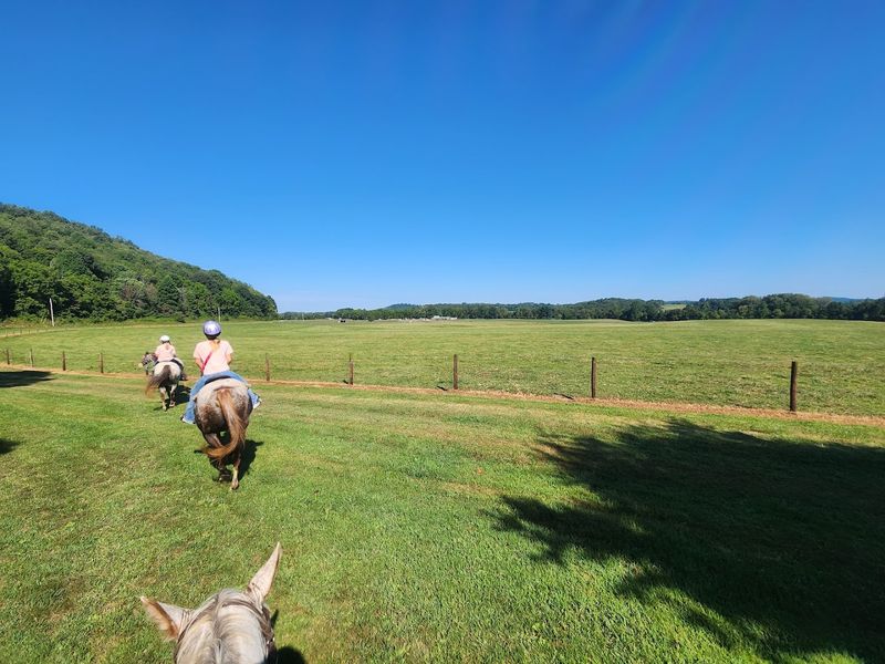 Spotted Horse Ranch Spotted Horse Ranch