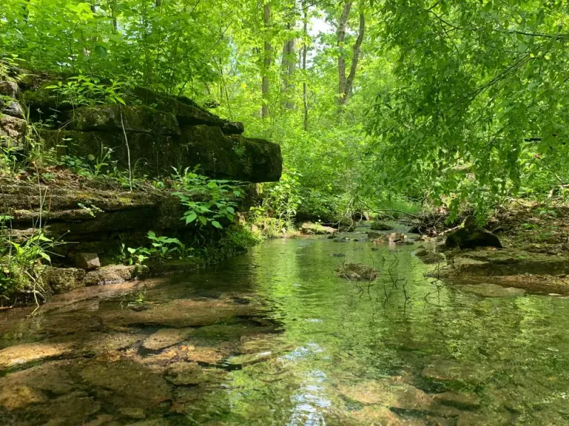 St. Francois State Park, Bonne Terre, Missouri St. Francois State Park, Bonne Terre, Missouri