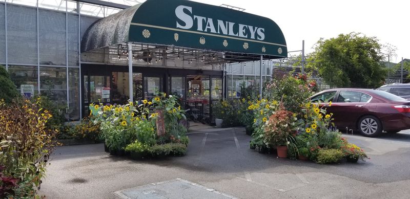 Stanley's Greenhouse — Knoxville Stanley's Greenhouse — Knoxville